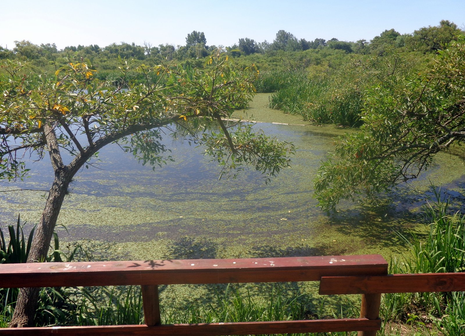 10 Reservas Urbanas para visitar